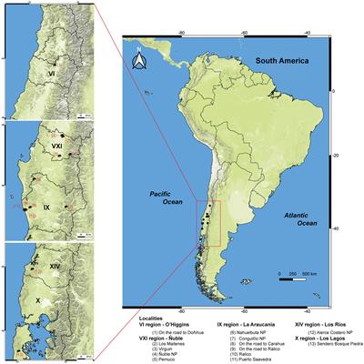 Molecular survey of tick-borne infectious agents in cricetid rodents (Rodentia: Cricetidae) in Central and Southern Chile